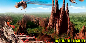 L’affiche du film la citadelle assiégée